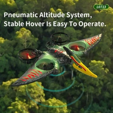 Dragon Remote Controlled Aeroplane